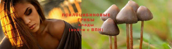 прущая мука Алексин