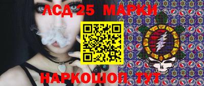 spice Кулебаки
