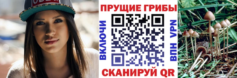 Псилоцибиновые грибы прущие грибы  Йошкар-Ола 