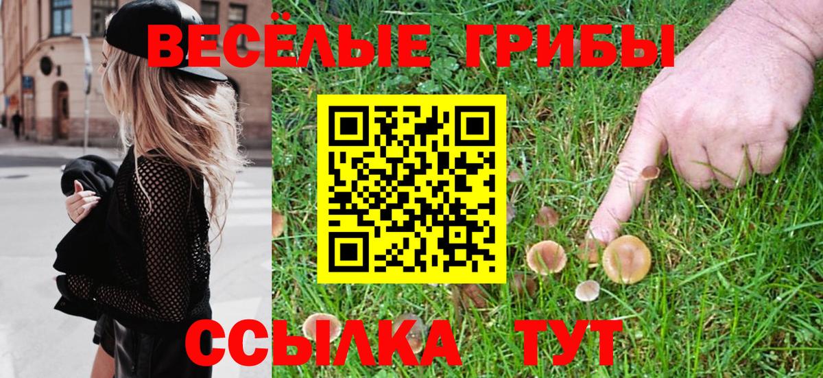 Псилоцибиновые грибы MAGIC MUSHROOMS  Псилоцибиновые грибы Cubensis  Йошкар-Ола  Вход с VPN 